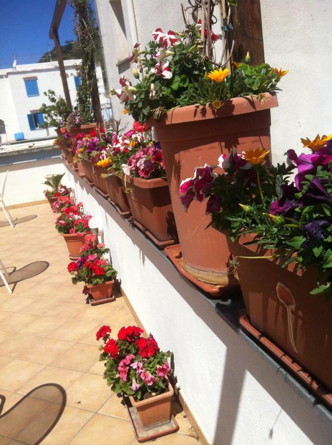 B&B Celestina Ischia Lacco Ameno (Isola d'Ischia) Exterior foto